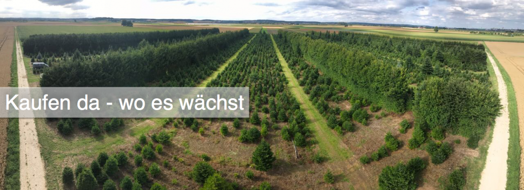 kaufen_da_wo_es_wachst_christbaumstadel_josef_kranzle_3.png